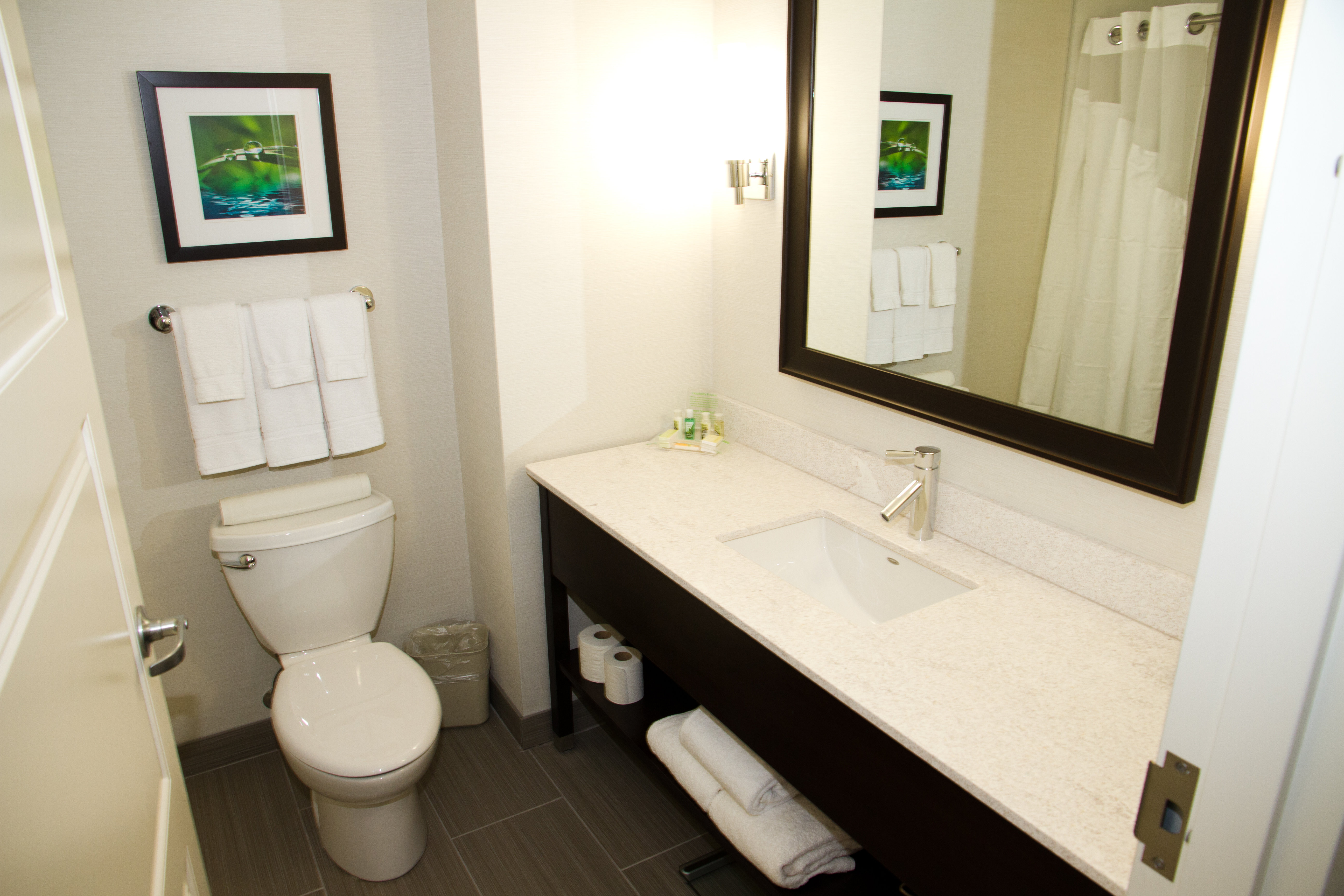 Bathroom in Holiday Inn & Suites Red Deer South Hotel Room
