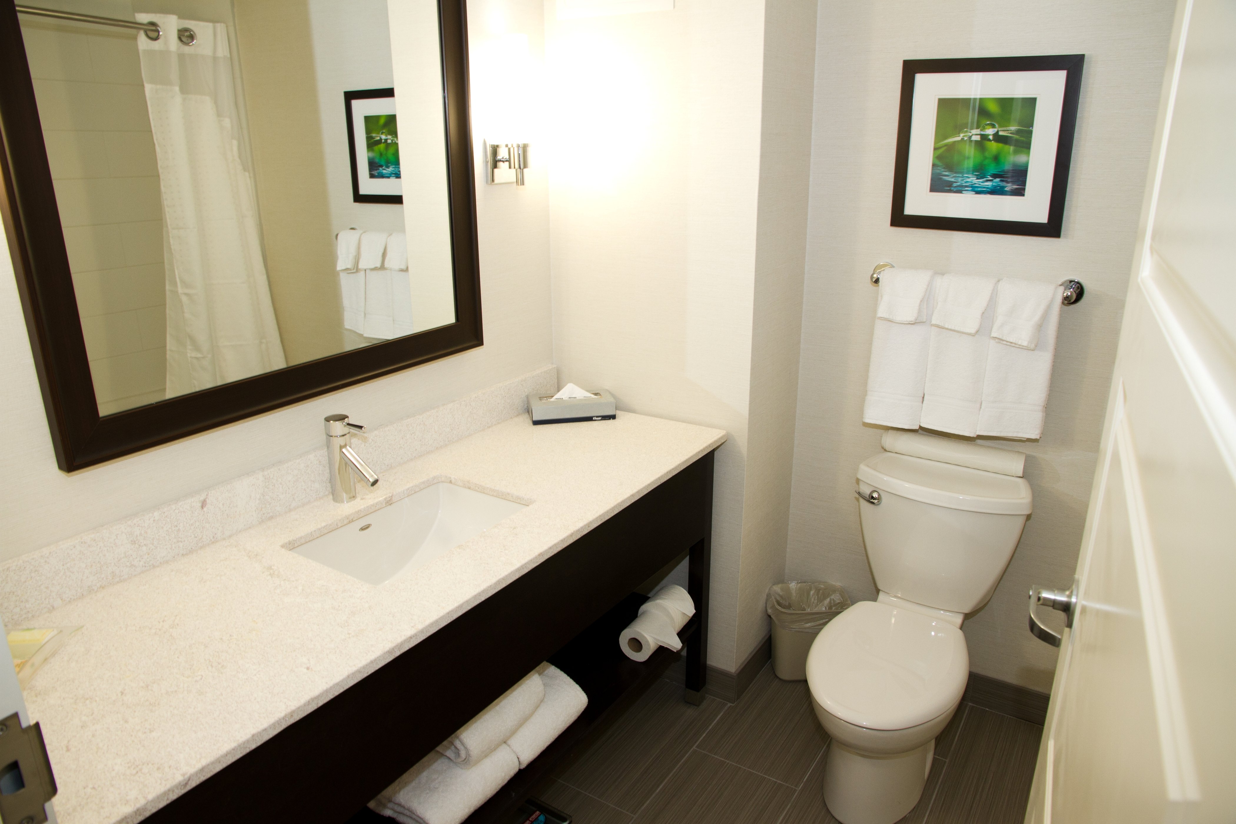 Bathroom in Suite at Holiday Inn & Suites Red Deer South