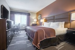  - Holiday Inn Express & Suites Woodbury - I-94, Exit 251