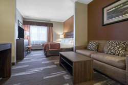  - Holiday Inn Express & Suites Woodbury - I-94, Exit 251