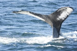  - Holiday Inn Express Deer Lake