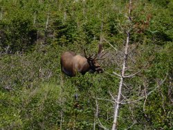  - Holiday Inn Express Deer Lake