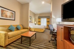  - Holiday Inn Express & Suites Manteca