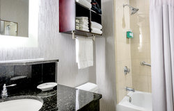  - Crowne Plaza Hotel Astor New Orleans