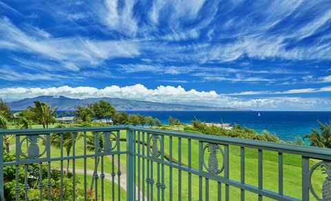 THE RITZ-CARLTON KAPALUA - Photo 37