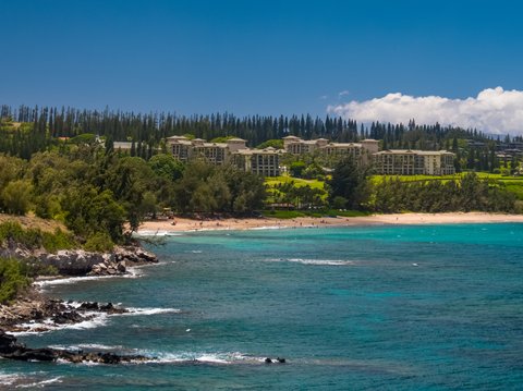 THE RITZ-CARLTON KAPALUA - Photo 43