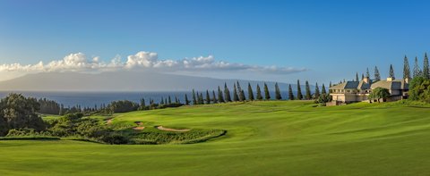 THE RITZ-CARLTON KAPALUA - Photo 42