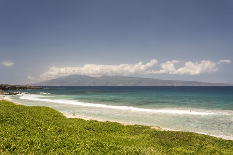 THE RITZ-CARLTON KAPALUA - Photo 44