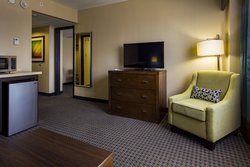  - Holiday Inn Downtown Houston