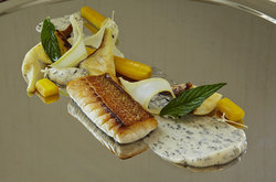  - Royal Blues Hotel Deerfield Beach