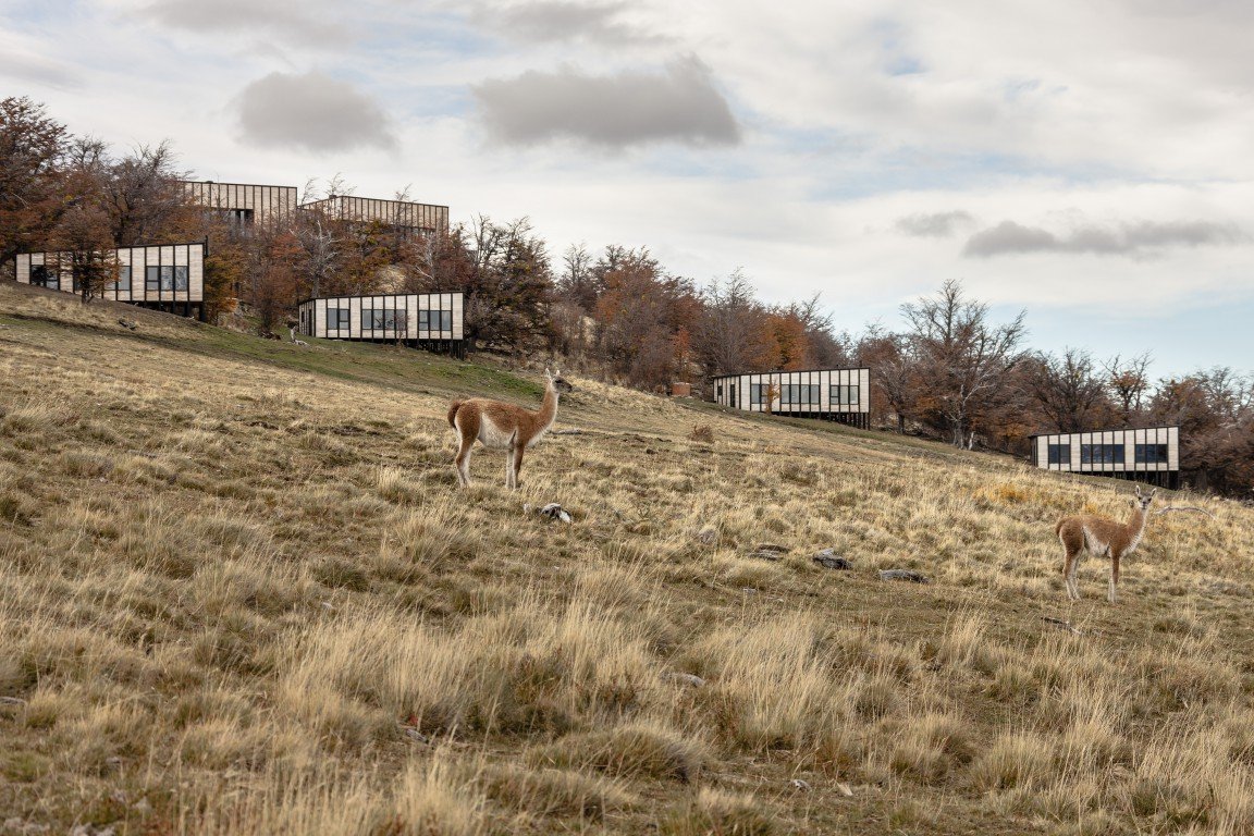 Awasi Patagonia - Relais & Chateaux in Chile