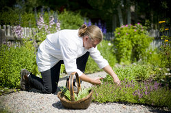  - Ranch at Rock Creek Philipsburg