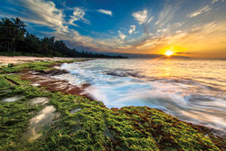  - Club Wyndham at Waikiki Beach Walk Resort Honolulu