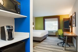  - Holiday Inn Express & Suites Fairgrounds Tampa - I-4, Exit 7