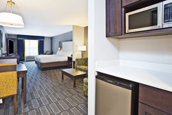  - Holiday Inn Express & Suites West Ann Arbor