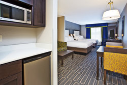  - Holiday Inn Express & Suites West Ann Arbor