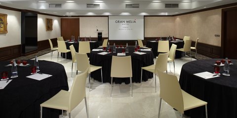 GRAN MELIA FENIX - Photo 96