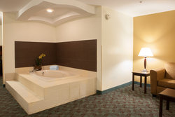  - Holiday Inn Express & Suites Canton - I-275, Exit 22