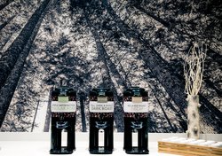  - Staybridge Suites South Lake Union Seattle - I-5, Exit 167