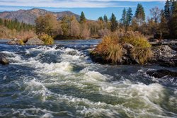  - Candlewood Suites Medford - I-5, Exit 33