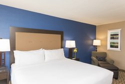  - Holiday Inn Elk Grove Village