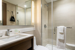  - Holiday Inn Nevins Station Brooklyn