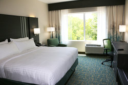  - Holiday Inn Express & Suites Flat Rock - I-26, Exit 53