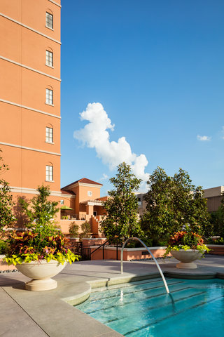 ROSEWOOD MANSION ON TURTLE CREEK - Photo 30