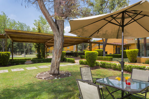 Jardin