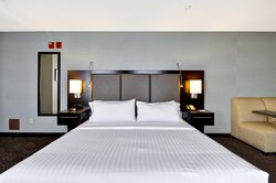  - Holiday Inn Express Airport Romulus