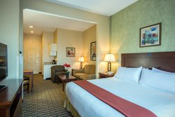  - Holiday Inn Express & Suites Niles