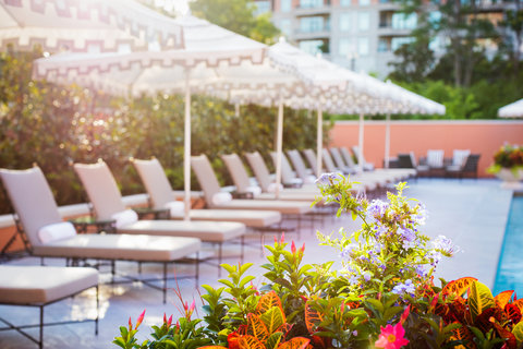 ROSEWOOD MANSION ON TURTLE CREEK - Photo 36