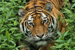  - Holiday Inn Express & Suites Eagan