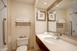  - Holiday Inn & Suites Ambassador Bridge Windsor