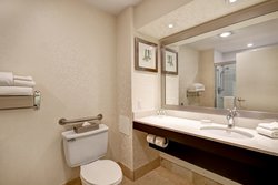  - Holiday Inn & Suites Ambassador Bridge Windsor