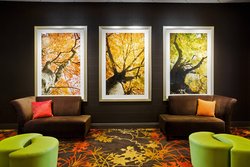  - Sheraton Hotel at Monarch Place Springfield