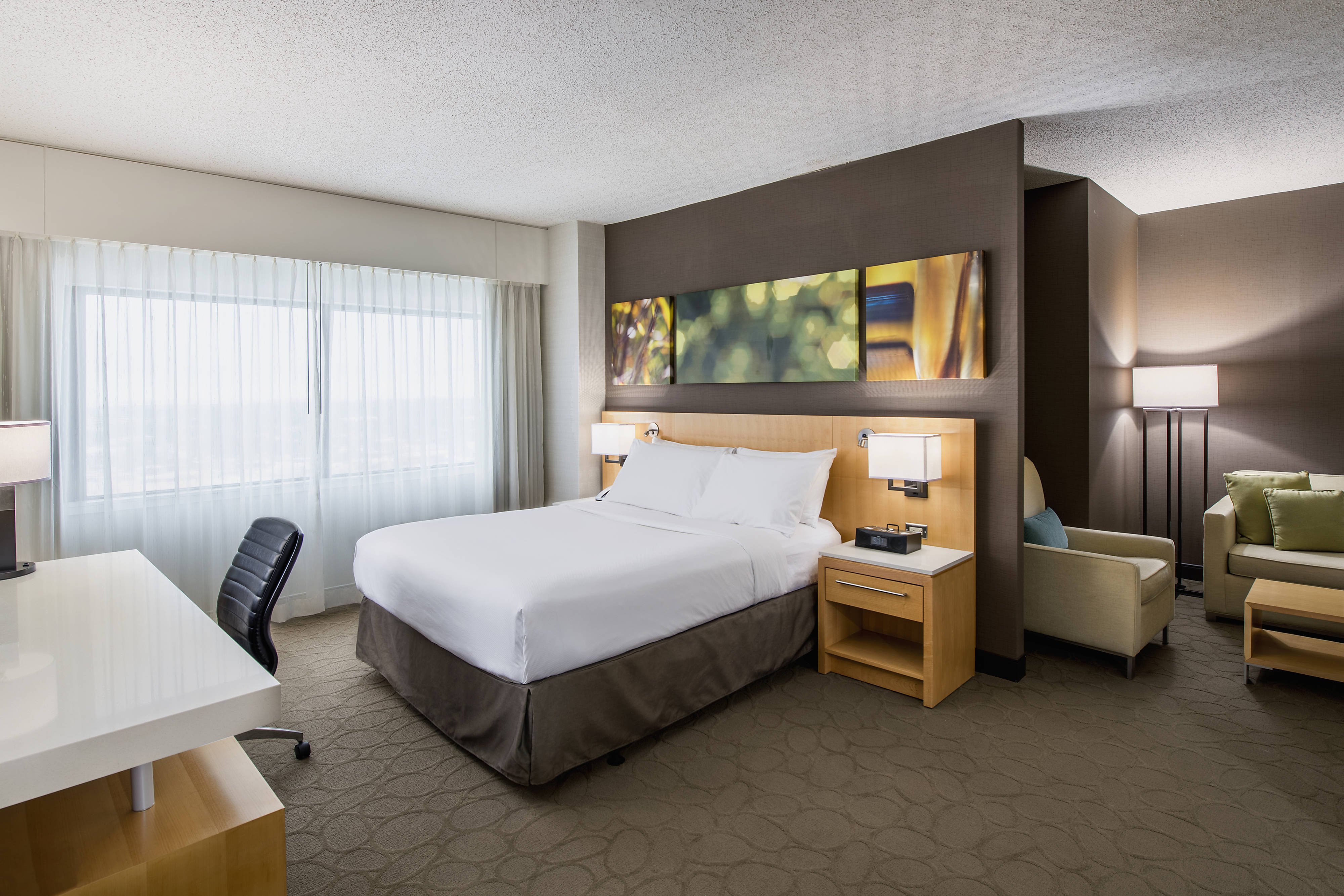 Deluxe Junior Queen Suite