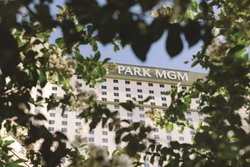  - Park MGM Resort & Casino Las Vegas