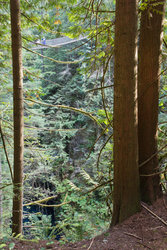  - Holiday Inn & Suites North Vancouver