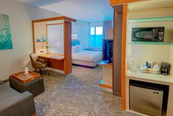  - SpringHill Suites by Marriott Macon - I-75, Exit 171