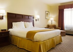  - Holiday Inn Express & Suites Levelland