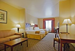  - Holiday Inn Express & Suites Levelland
