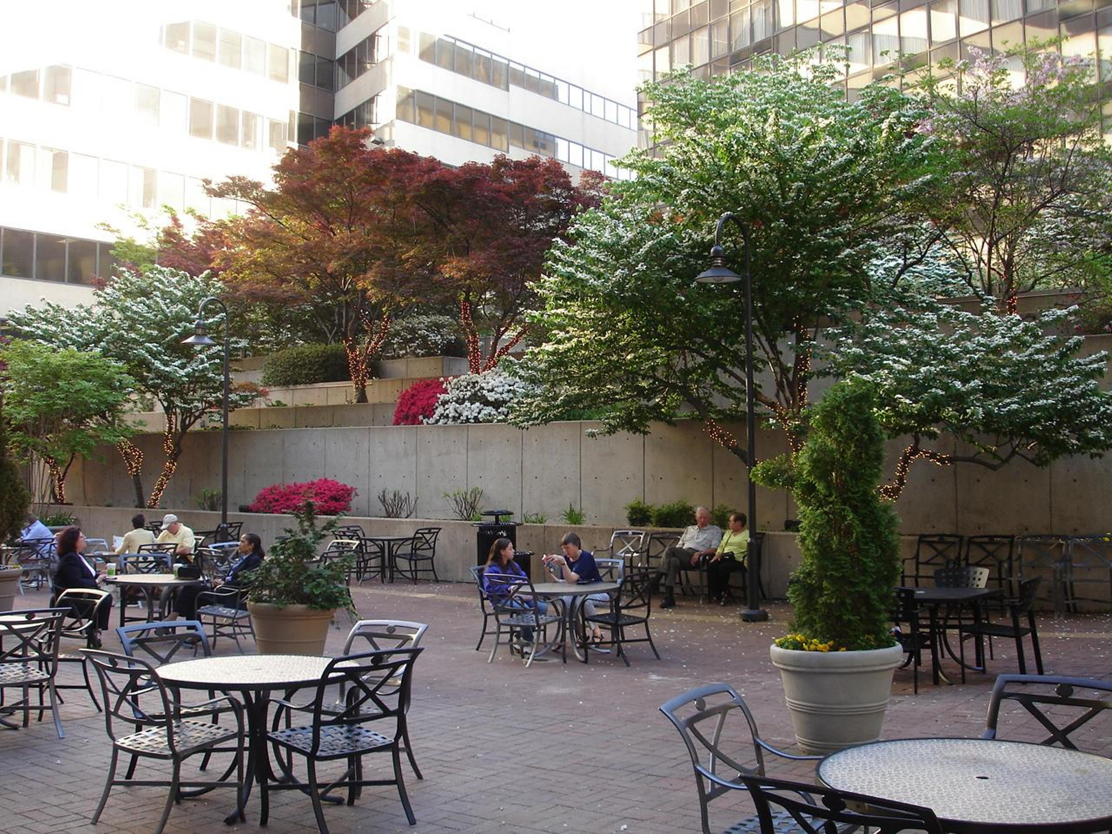Enjoy lunch and drinks in the courtyard area.