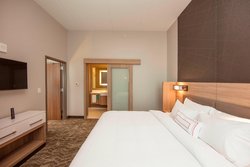  - SpringHill Suites by Marriott Downtown Athens