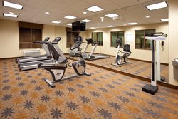  - Holiday Inn Express & Suites Lamar