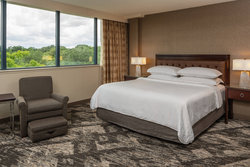  - Sheraton Hotel East Tampa - I-75, Exit 260