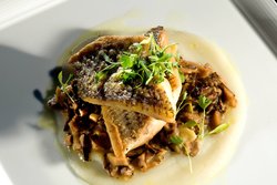  - Westin Hotel Reston