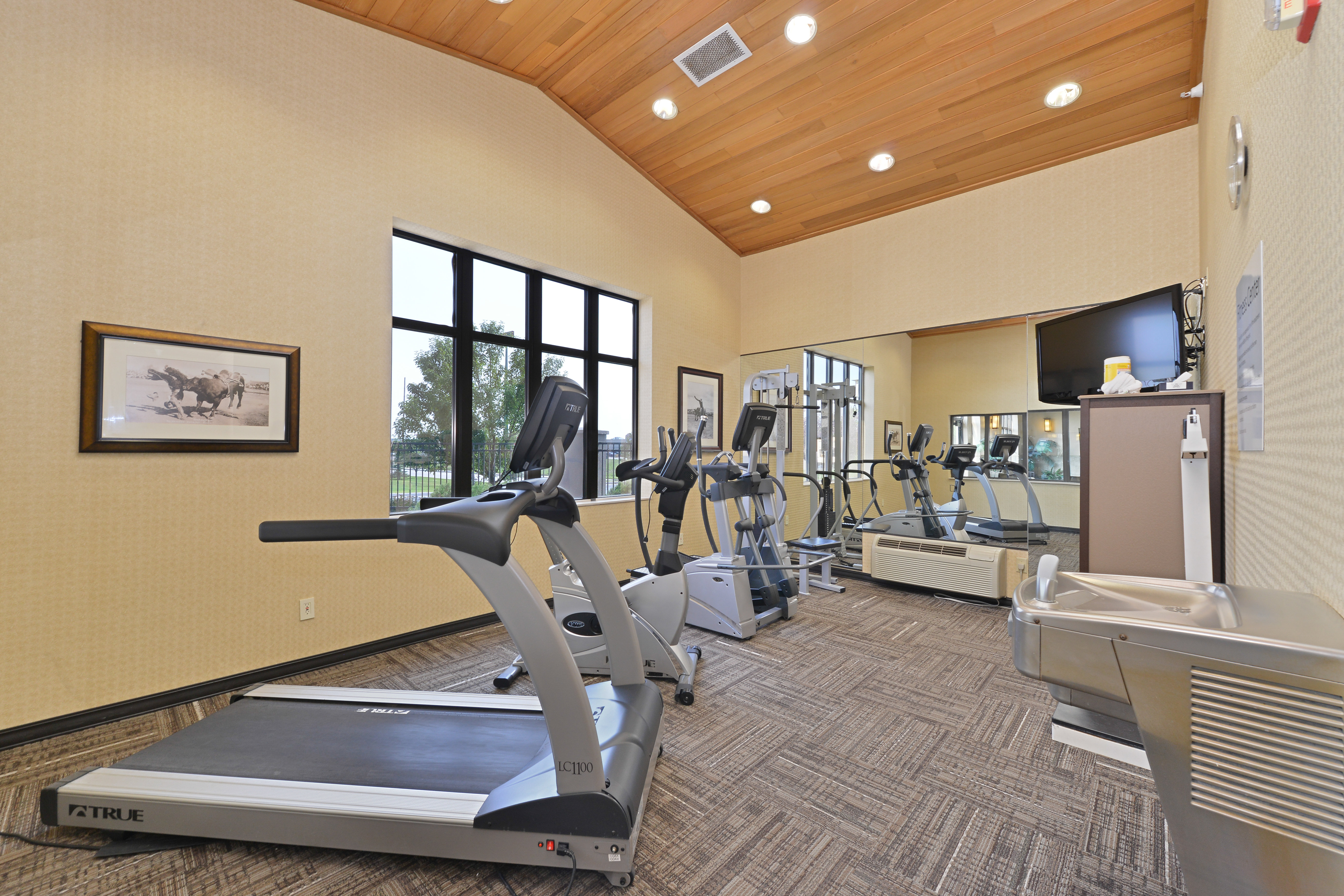 Stretch, Run, Step, Cycle, Lift, Sweat, Repeat FREE Fitness Center