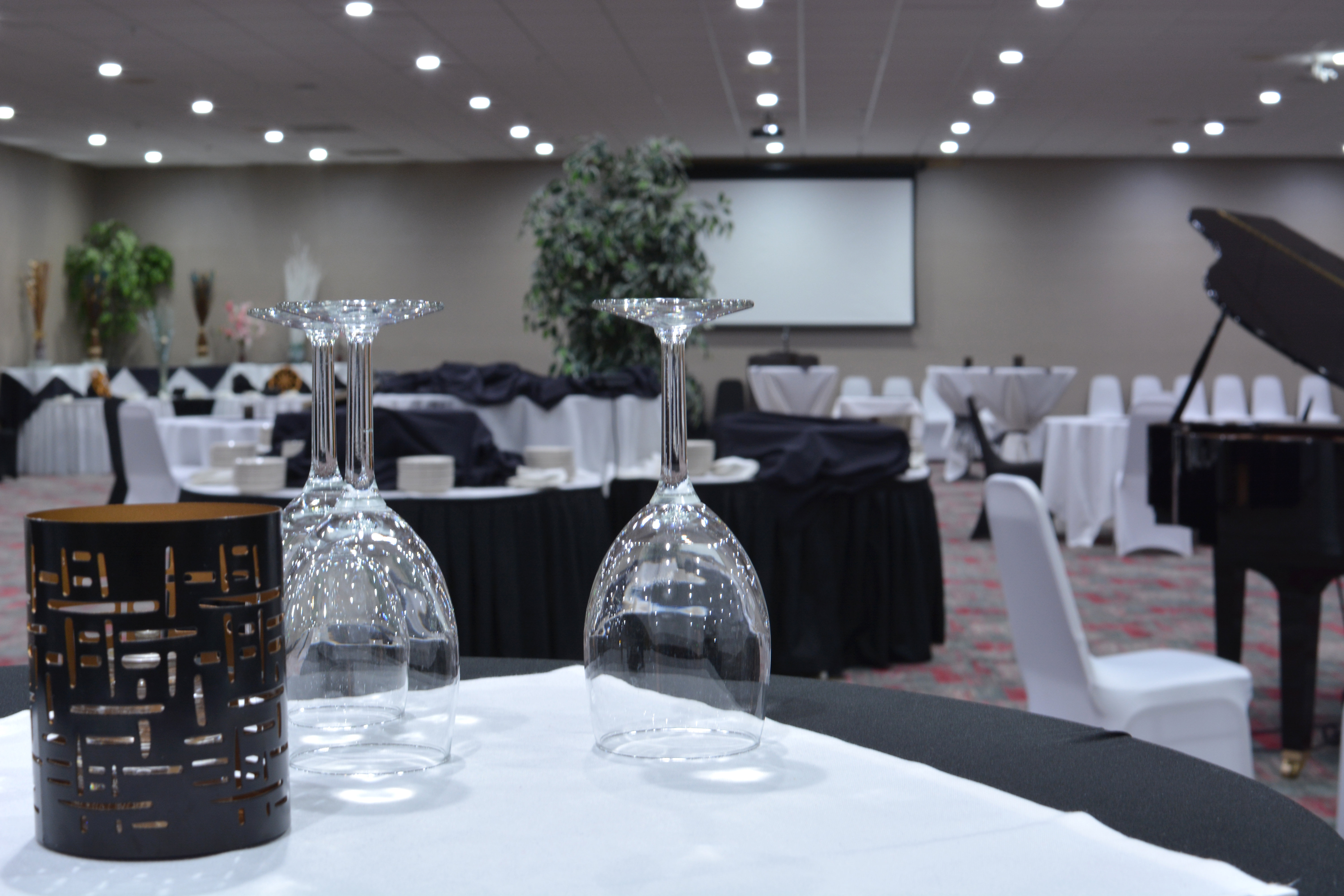 Beautiful conference center ready to cater to any social event.