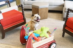  - Hotel Spero San Francisco